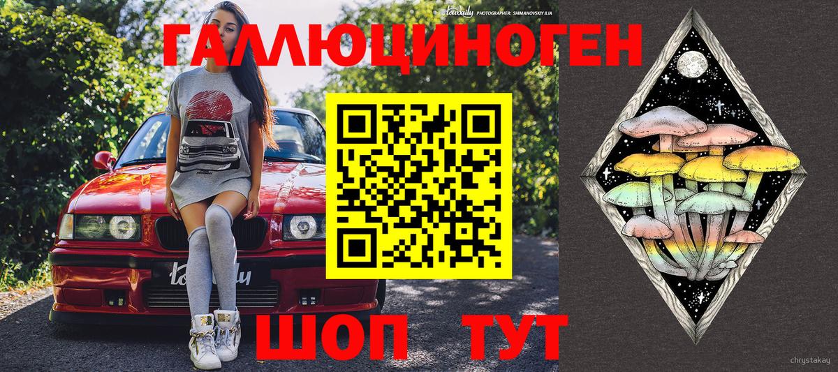 Псилоцибиновые грибы Psilocybe  Вход с VPN  Сокол  Псилоцибиновые грибы MAGIC MUSHROOMS 
